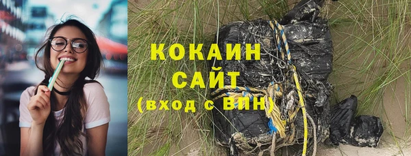 дживик Бронницы