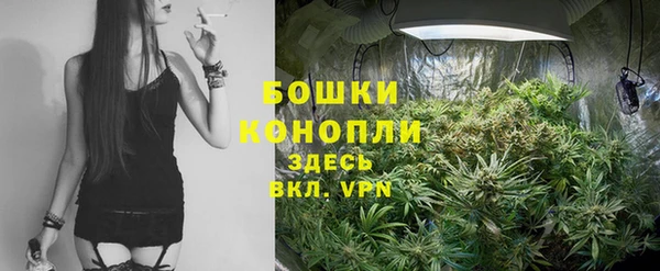 MDMA Premium VHQ Бородино