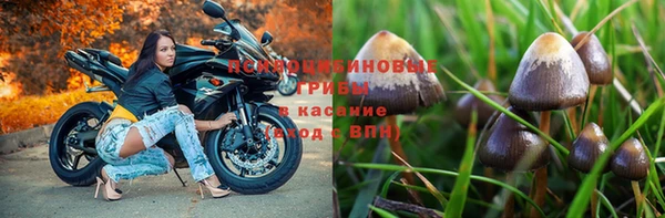 дживик Бронницы