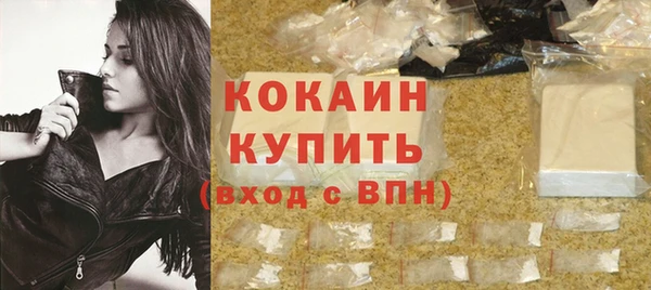 дживик Бронницы