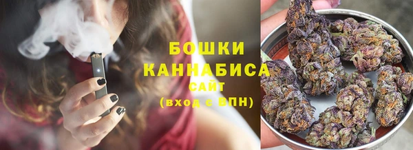 дживик Бронницы