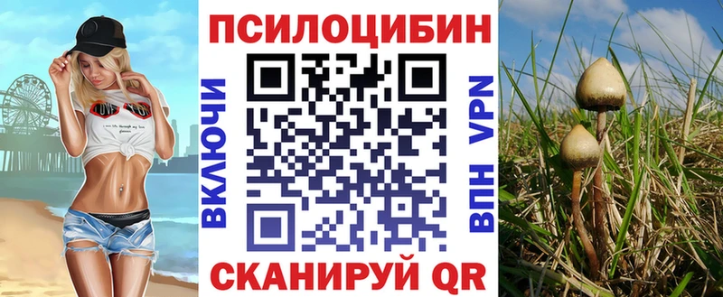 Псилоцибиновые грибы Psilocybe  Сызрань 